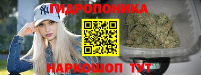 мдпв Лесосибирск