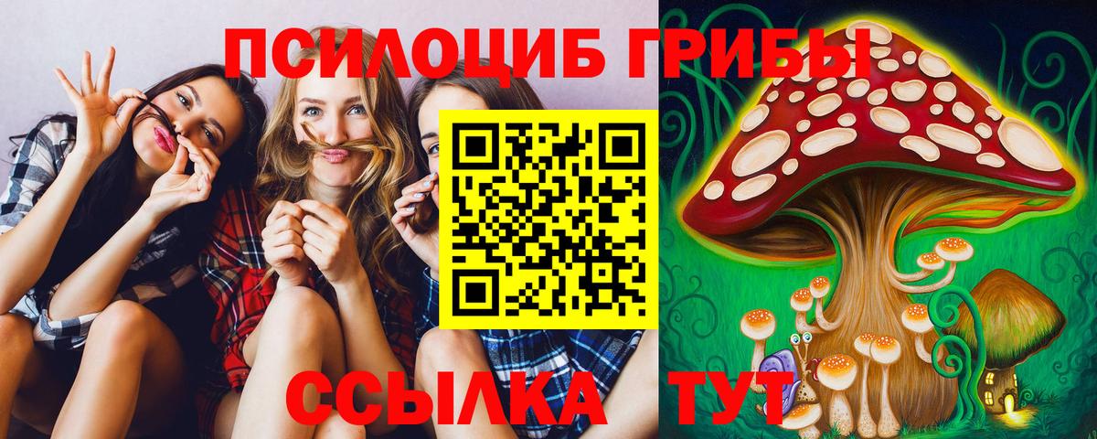 Ейск  Галлюциногенные грибы Cubensis  Вход с VPN 