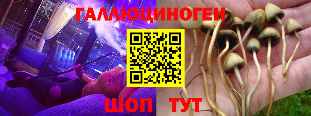  COCAIN Ейск