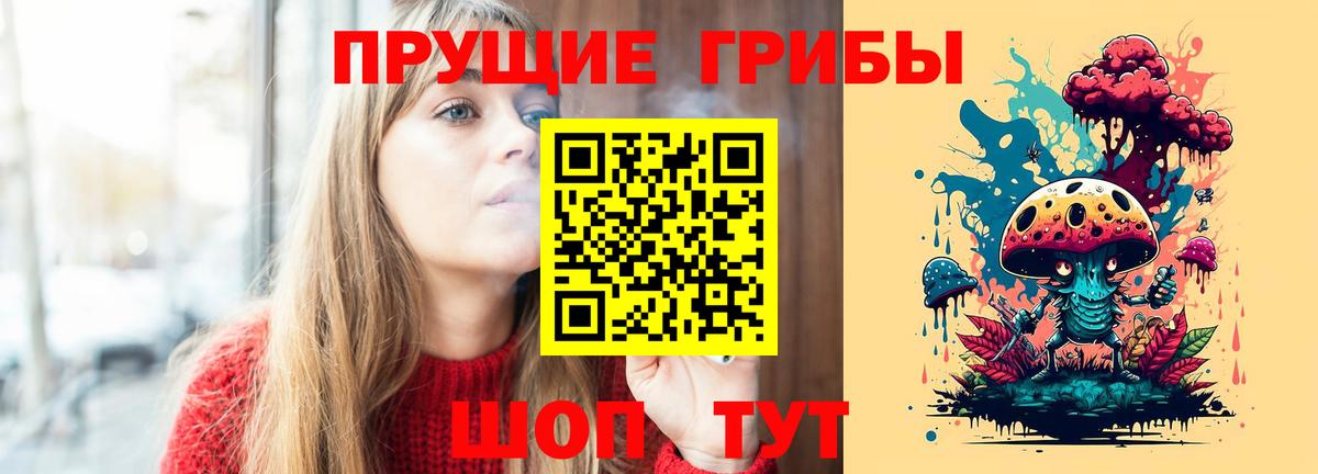 Псилоцибиновые грибы Psilocybe Ейск