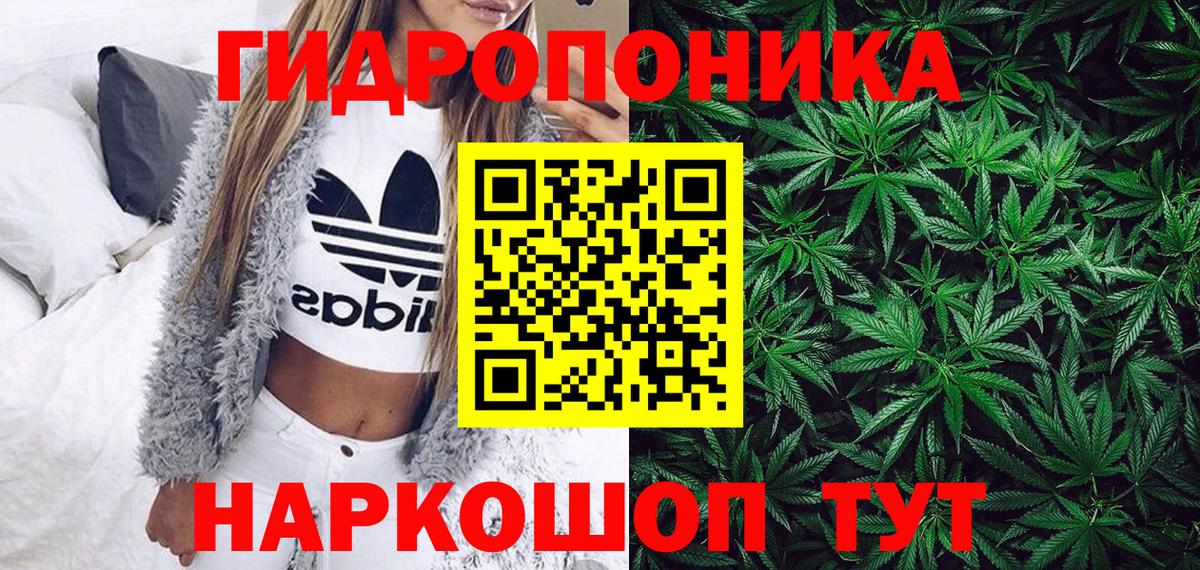 Бошки марихуана конопля  Марихуана семена  Вход с VPN  Ейск  МАРИХУАНА сатива 